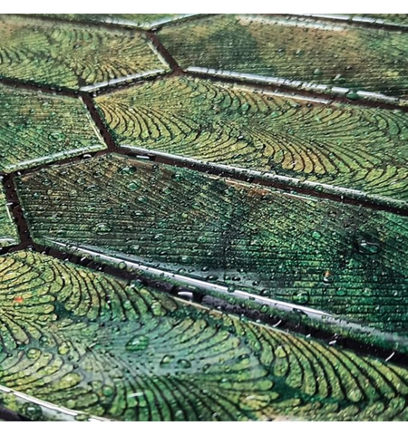 Radiant Green Long Hexagon Peel and Stick Wall Tile | Kitchen Backsplash Tiles | Self Adhesive Tiles (Copy)